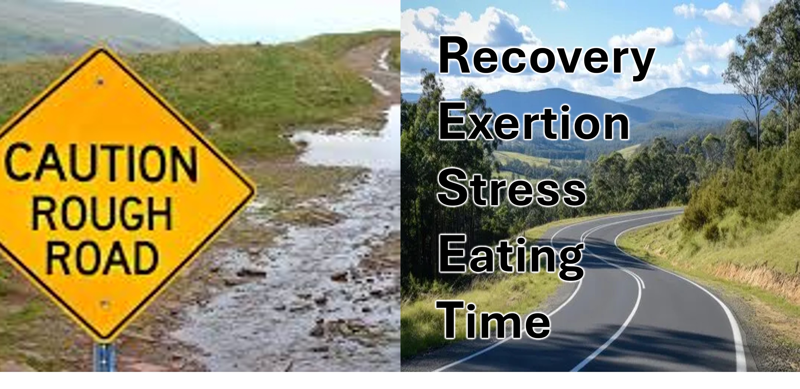 NEWYouRESET1 NEWYouRESET1